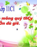 Bài giảng Đại số và Giải tích 11 - Bài 4: Vi phân