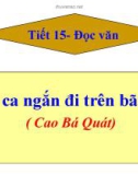 Bài giảng Ngữ văn 11: Đọc văn Bài ca ngắn đi trên bãi cát - Cao Bá Quát