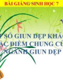 Bài giảng Sinh học 7 bài 12: Một số giun dẹp khác và đặc điểm của ngành Giun dẹp