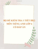 Bộ 9 đề kiểm tra 1 tiết học kì 2 môn Tiếng Anh lớp 6 có đáp án