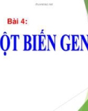 Bài giảng môn Sinh học lớp 12 bài 4: Đột biến gen