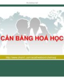 BÀI GIẢNG: CHƯƠNG 3. CÂN BẰNG HOÁ HỌC