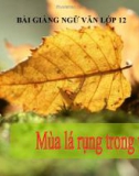 Bài giảng Ngữ văn 12 tuần 25 bài: Mùa lá rụng trong vườn - Ma Văn Kháng