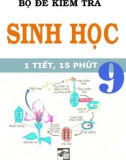 Bộ đề kiểm tra môn Sinh học 9 (1 tiết, 15 phút)