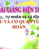 Bài giảng Máu và cơ quan tuần hoàn - Tự nhiên xã hội 3- GV. N.T.Sỹ