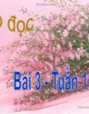 Giáo án điện tử môn Tiếng Việt lớp 3 - Tuần 1: Tập đọc Hai bàn tay em