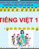 Bài giảng môn Tiếng Việt lớp 1 sách Cánh diều năm học 2020-2021 - Tuần 33: Ôn tập cuối năm – Đọc hiểu, viết ​(Trường Tiểu học Ái Mộ B)