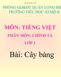 Bài giảng môn Tiếng Việt lớp 1 sách Cánh diều năm học 2019-2020 - Tuần 33: Chính tả Cây bàng (Trường Tiểu học Ái Mộ B)