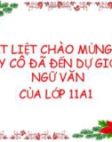 Bài giảng Ngữ văn 11: Tiểu sử tóm tắt