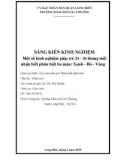 Sáng kiến kinh nghiệm Mầm non: Một số kinh nghiệm giúp trẻ 24 - 36 tháng tuổi nhận biết phân biệt ba màu: Xanh - Đỏ - Vàng