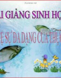 Bài giảng Sinh học 6 bài 49: Bảo vệ sự đa dạng của thực vật