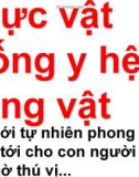 Bài giảng điện tử môn sinh học: thực vật giống động vật