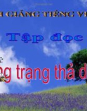 Bài giảng Tập đọc: Ông Trạng thả diều - Tiếng việt 4 - GV.N.Hoài Thanh