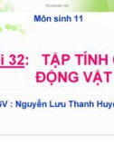 Bài giảng Sinh học 11 bài 32: Tập tính của động vật (TT)