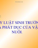 Bài giảng Công nghệ 10 bài 22: Quy luật sinh trưởng phát triển của vật nuôi