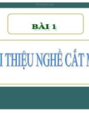 Bài giảng May thời trang - Bài 1: Giới thiệu nghề cắt may