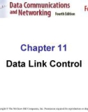 Chapter 11 Data Link Control