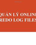 Bài giảng Quản lý online redo log files