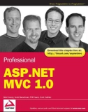 Professional ASP.NET MVC 1.0