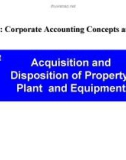 Lecture Issues in financial accounting – Lecture 12: Acquisition and disposition of property, plant and equipment