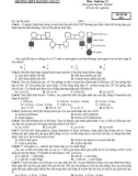Đề thi khảo sát giữa HK 2 môn Sinh học lớp 12 - THPT Nguyễn Văn Cừ - Mã đề 023