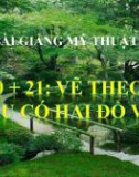 Bài giảng Mỹ Thuật 6 bài 20: Vẽ mẫu có 2 đồ vật