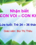 Bài giảng mầm non - Nhận biết con voi, con khỉ