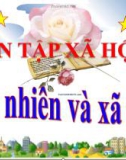 Bài giảng TNXH 1 bài 21: Ôn tập xã hội