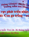 Bài giảng mầm non - Hoạt động nhận biết: Con gà trống - Con vịt