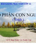 Bài giảng Ngữ văn 12: Số phận con người (M.A.Sô-lô-khốp)