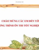 Bài giảng Ngữ văn 12 - Tiết 18: Việt Bắc