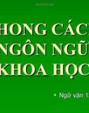 Bài giảng Ngữ văn 12 tuần 5 bài: Phong cách Ngôn ngữ Khoa học