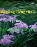 Slide bài Tập đọc: Ngày hội rừng xanh - Tiếng việt 3 - GV.N.Tấn Tài