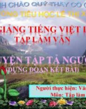 Tập làm văn: Bài giảng luyện tập tả người