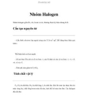 Nhóm Halogen