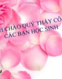 Bài giảng Sinh học 10 phần 1 chương 3 bài 14: Enzim và vai trò của enzim trong quá trình chuyển hóa vật chất (2)