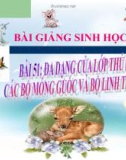 Bài giảng Sinh học 7 bài 51: Đa dạng của lớp thú( tiếp theo) các bộ mống guốc và bộ linh trưởng