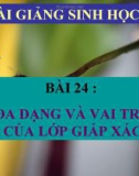 Bài giảng Sinh học 7 bài 24: Đa dạng và vai trò của lớp giáp xác