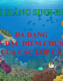 Bài giảng Sinh học 7 bài 34: Đa dạng và đặc điểm chung của các lớp cá