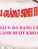 Bài giảng Sinh học 7 bài 9: Đa dạng của ngành ruột khoang