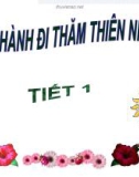 Giáo án điện tử môn Tự nhiên và xã hội lớp 3 - Bài: Thực hành đi thăm thiên nhiên