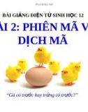 Bài giảng Sinh học lớp 12 bài 2: Phiên mã và dịch mã