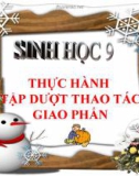 Bài giảng Sinh học 9 bài 38: Thực hành tập hợp thao tác giao phấn