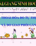 Bài giảng Sinh học 9 bài 34: Thoái hóa do tự thụ phấn và do giao phối gần