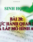 Bài giảng Sinh học 9 bài 20: Thực hành quan sát và lắp mô hình ADN