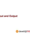 Input and Output