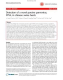 Báo cáo y học: Detection of a novel porcine parvovirus, PPV4, in chinese swine herds