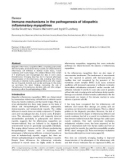 Báo cáo y học: Immune mechanisms in the pathogenesis of idiopathic inflammatory myopathies