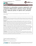 Báo cáo y học: Reduction in antioxidant enzyme expression and sustained inflammation enhance tissue damage in the subacute phase of spinal cord contusive injury