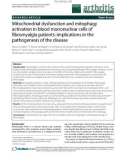 Báo cáo y học: Mitochondrial dysfunction and mitophagy activation in blood mononuclear cells of fibromyalgia patients: implications in the pathogenesis of the disease